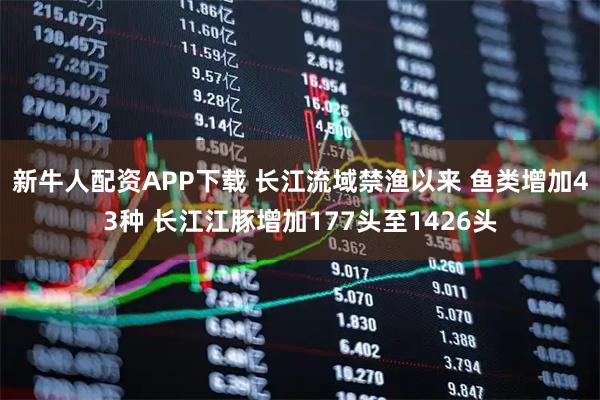 新牛人配资APP下载 长江流域禁渔以来 鱼类增加43种 长江江豚增加177头至1426头